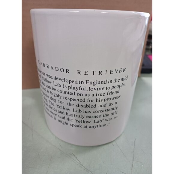 Yellow Labrador Retriever Dog 16oz Coffee Mug With Write Up History Of The Breed - Picture 5 of 5